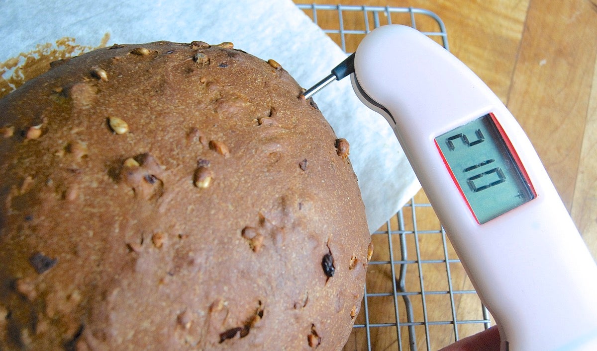 The Best Bread and Oven Thermometer You Should Use and Why – The Bread  Guide: The ultimate source for home bread baking