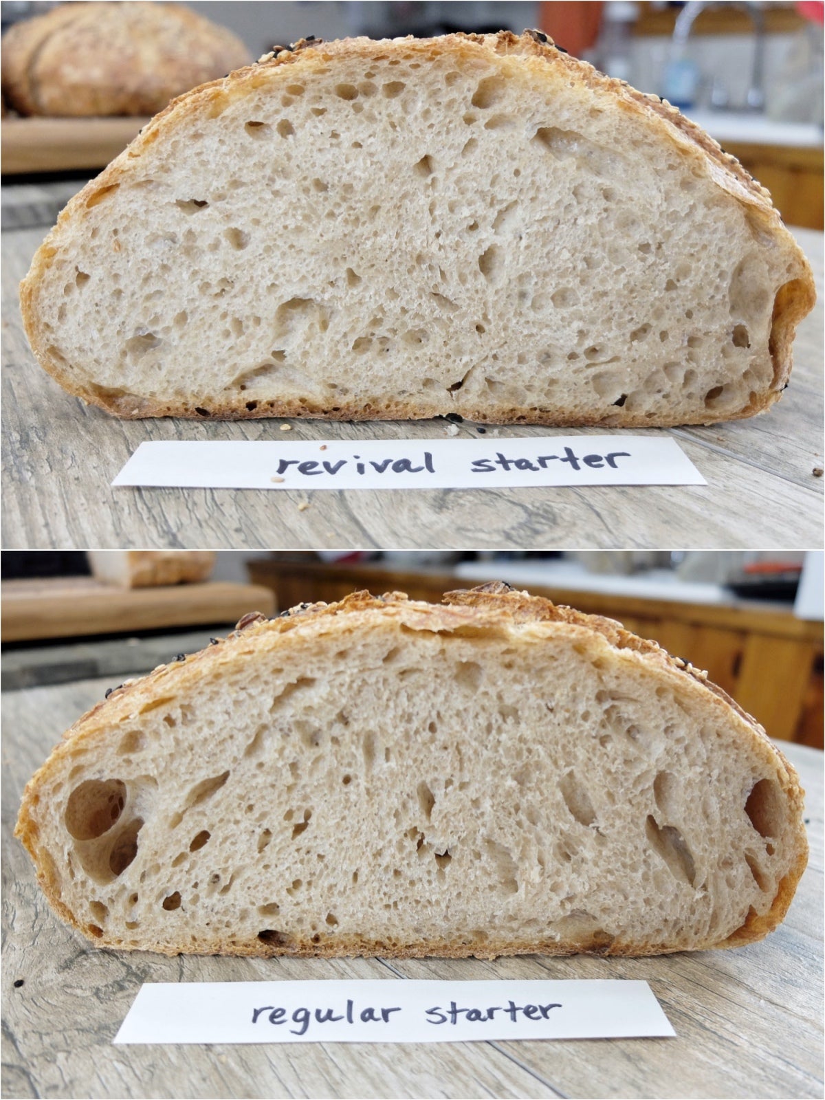 I've been bummed out by all the people that have lost starters they keep in  the oven, so I made a oven button cover. : r/Sourdough