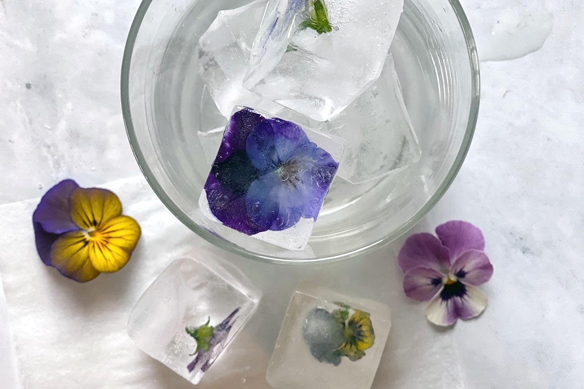 https://www.kingarthurbaking.com/sites/default/files/inline-images/Flower-ice-cubes.jpg
