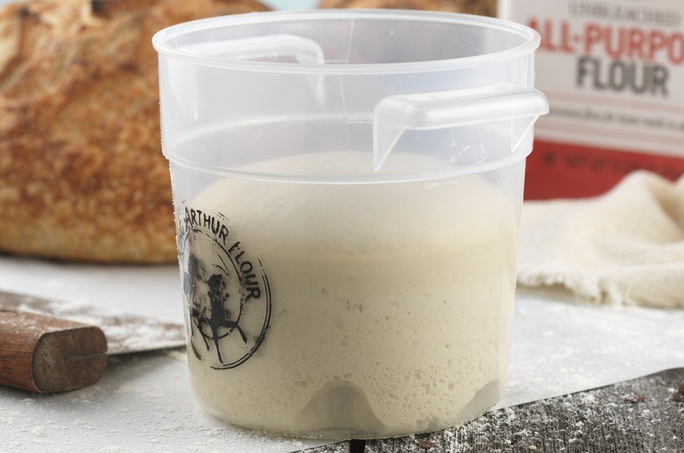 Stiff Sourdough Starter Recipe King Arthur Baking   Stiff Sourdough Starter 