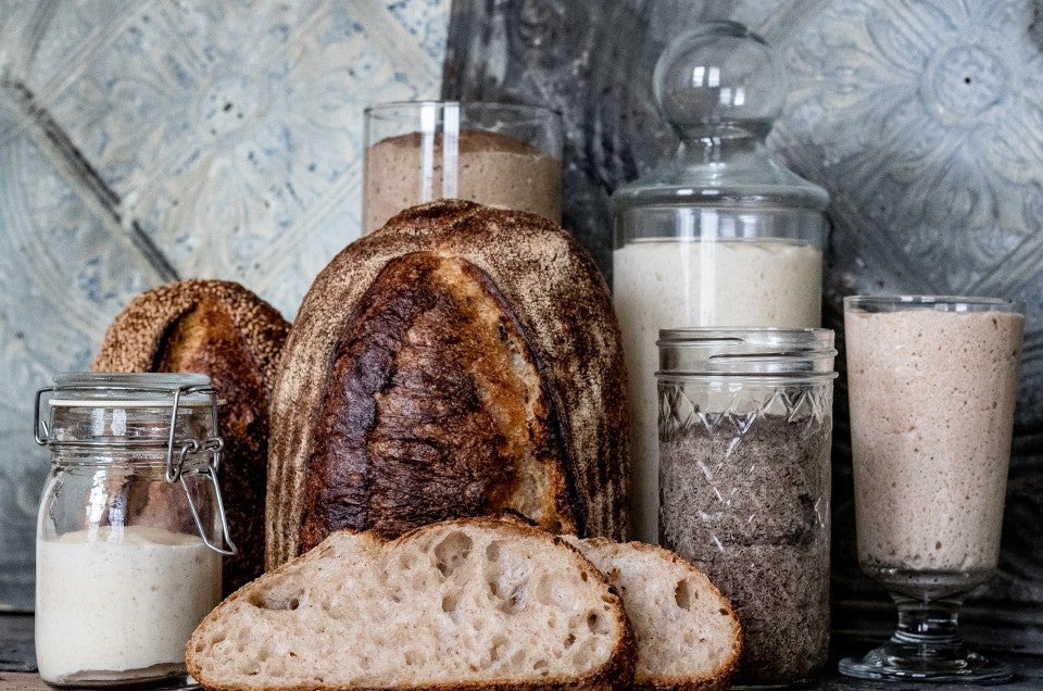 Exploring the world of whole grain bread