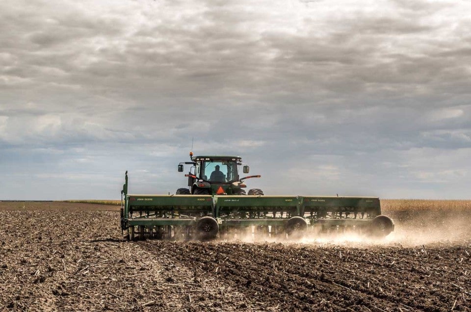 Tractor in a wheat field