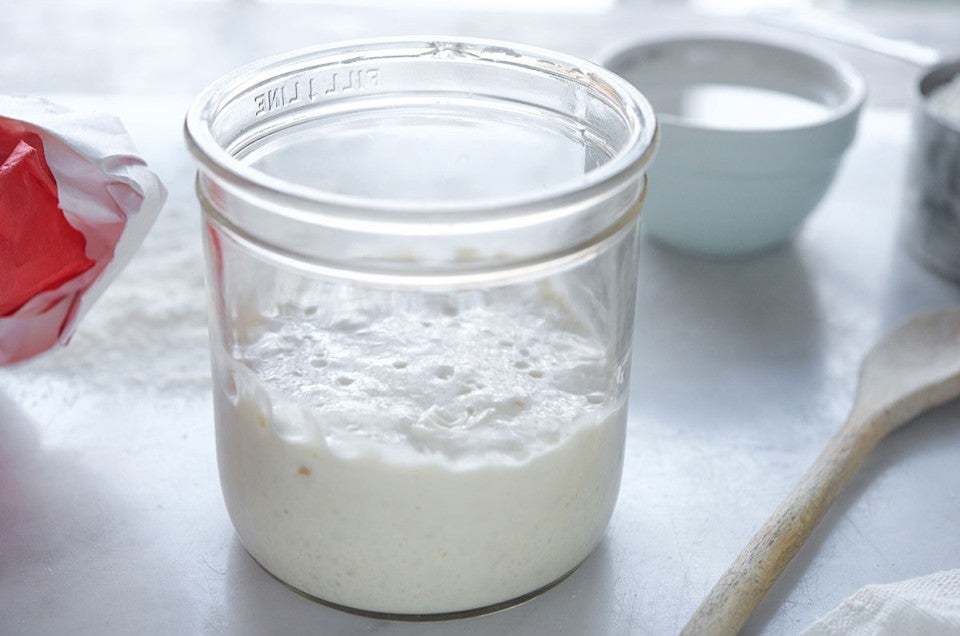 Sourdough Starter Stirrer Wood Spoon, Knead You to Feed Me