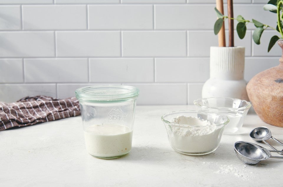 Sourdough Starter Maintenance Routine