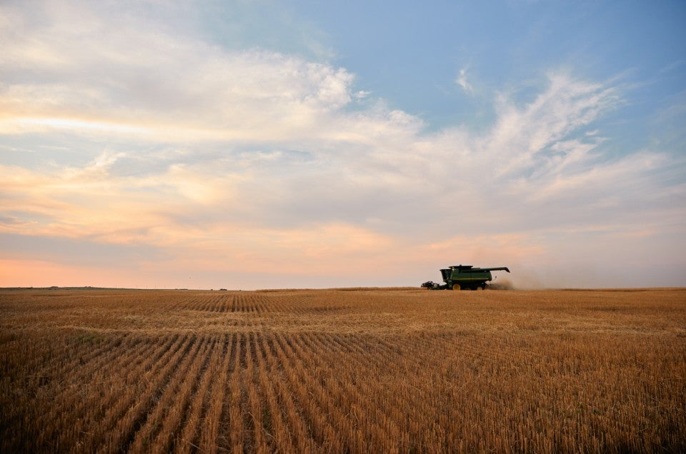 King Arthur launches flour from regeneratively grown wheat