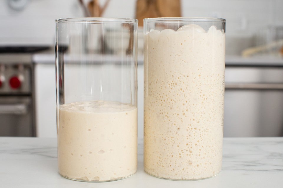 Just-fed starter on the left, ripe starter on the right