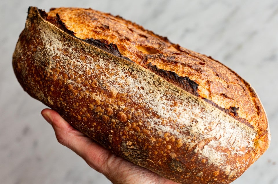 Sourdough bread baked in the baking shell