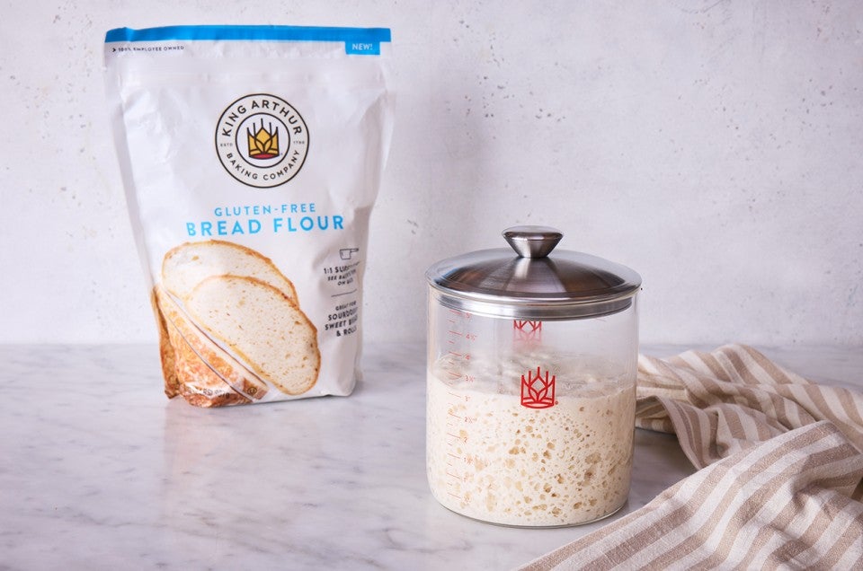 Gluten-Free Sourdough Starter made with Bread Flour  - select to zoom