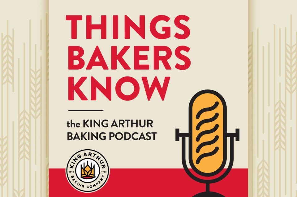 Image of text introducing the podcast, Things Bakers Know