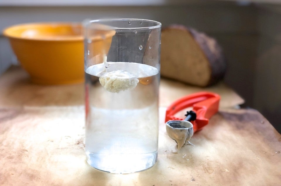 The Float Test For Yeast Dough And Sourdough Starter King Arthur Baking