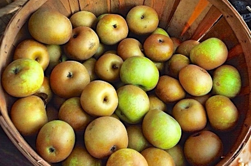 Golden Delicious Apples (Per Pound)