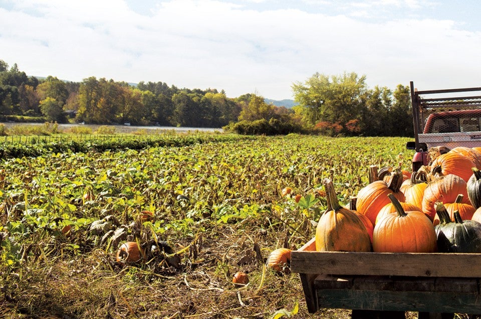 Pumpkin recipes via @kingarthurflour