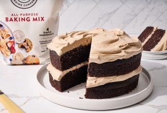 Easy Chocolate Cake made with All-Purpose Baking Mix