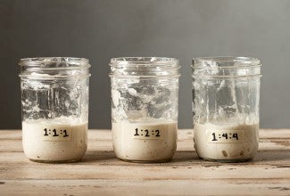 Three freshly fed starters, at different ratios