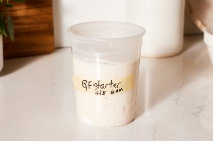 Gluten-free sourdough starter in a plastic food container