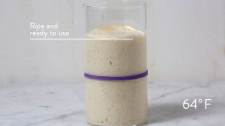 Keeping Sourdough Starter Alive vs. Getting It Active